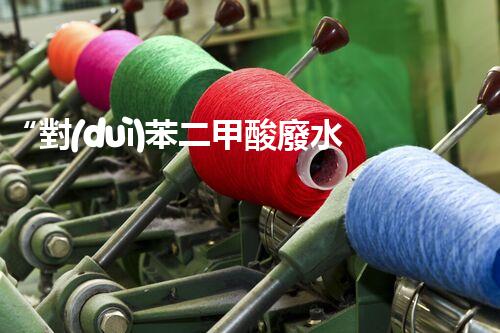 “對(duì)苯二甲酸廢水處理，綠色創(chuàng)新引領(lǐng)環(huán)保新篇章”